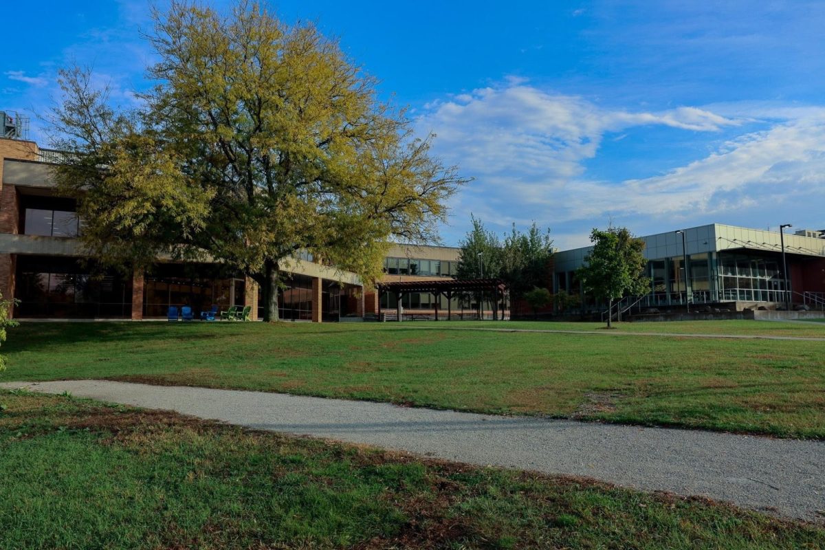 College of Lake County
